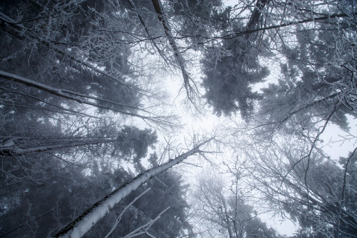 1132342 (a): :2560x1707